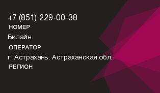 8512290038